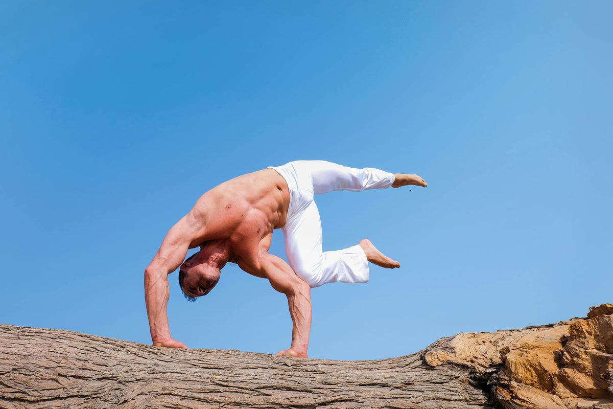 Calisthenics: A Beginner's Guide to Bodyweight Training – Aroleap